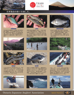 （日本語）（PDF: 940KB）