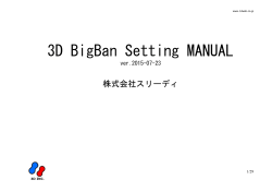 3D BigBan Setting MANUAL