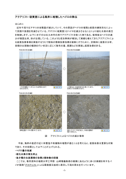 アクアリフト・硫黄菌による海岸に堆積したヘドロの除去