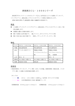 詳細説明