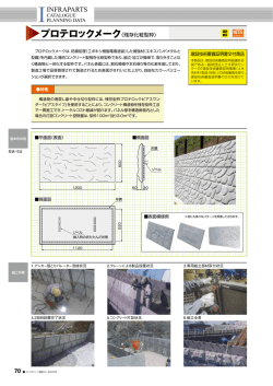 プロ プロテロックメーク〈残存化粧型枠〉