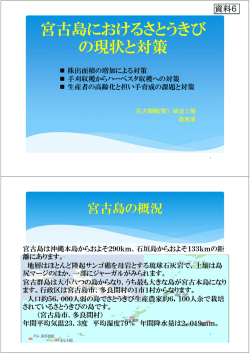 宮古島におけるさとうきび の現状と対策 - alic｜独立行政法人 農畜産業