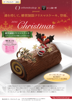 糖質制限クリスマスケーキ 【ブッシュドノエル風