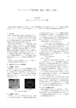 ワンショット干渉計測－過去・現在・未来－