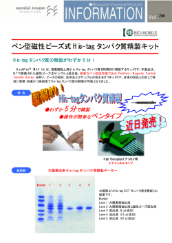 ペン型磁性ビーズ式 His-tag タンパク質精製キット