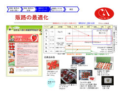 販路の最適化