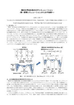 複合化学反応系の分子シミュレーション -第一原理シミュレーションから
