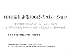 FDTD法によるTDGLシミュレーション