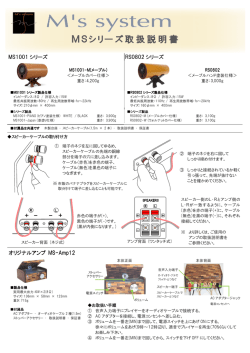 MS1001 シリーズ オリジナルアンプ MS-Amp12