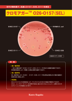 クロモアガーTM O26・O157（SEL）
