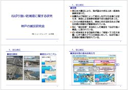 ねばり強い防潮堤に関する研究 神戸の減災研究会