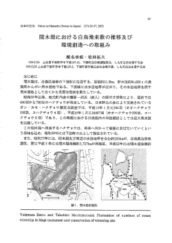 間木堤における白鳥飛来数の推移及び