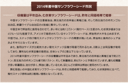 20ー4年産中国サンフラワーシード市況