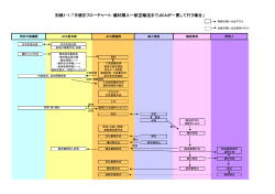 別紙1-1：「手続きフローチャート：機材購入～航空輸送までJICAが一貫し