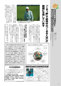 「くるつ肥」で栽培中の「くるるん米」が 順調に生育しています