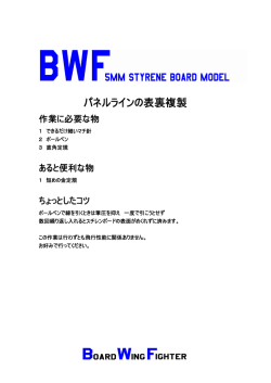 裏面にパネルラインを入れる - BWF-RC