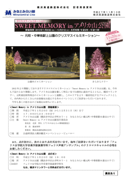 ～ 元町・中華街駅上公園のクリスマスイルミネーション～