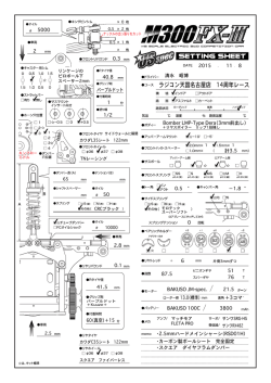 ラジコン天国名古屋店 14周年レース