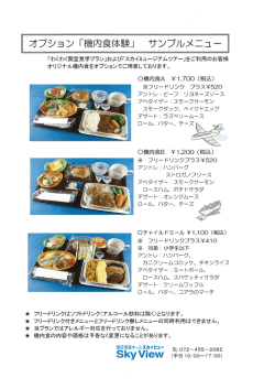 オプション「機内食体験」サンプルメニュー