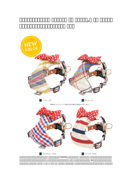女性の美しさを行います！ 【限定品】犬 首輪 蝶ネクタイ,犬 首輪 可愛い