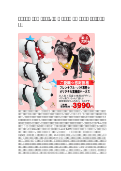【促銷の】 大型犬 イベント,首輪 犬 ヴィトン 激安 アマゾン 一番新しいタイプ