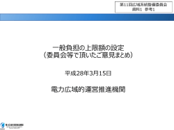 一般負担の上限額の設定 （委員会等で頂いたご意見まとめ） 電力広域的