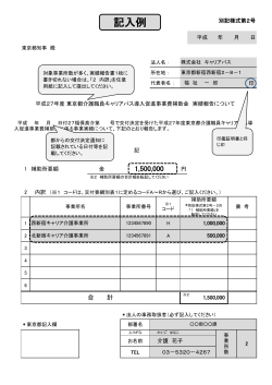 記入例