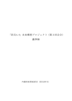 議事録 - 内閣府