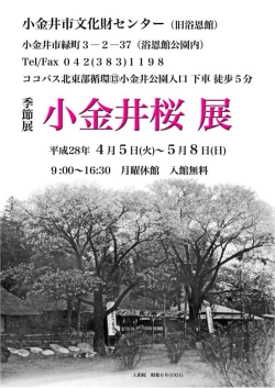 季節展チラシ（PDF：214KB）