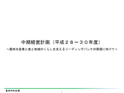 中期経営計画（平成28～30年度）