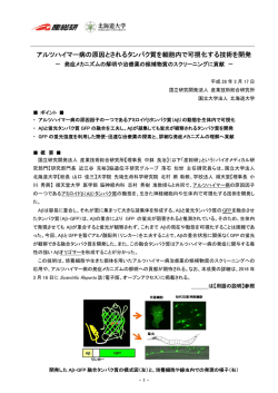 （先端生命科学研究院 教授 金城政孝，助教 北村 朗）（PDF）