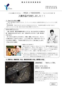 記者発表資料（PDF形式 869KB）