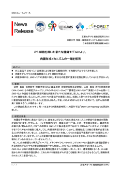 iPS細胞を用いた新たな腫瘍モデルにより、 肉腫形成