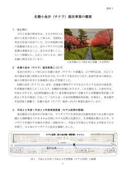 名勝小金井（サクラ）復活事業の概要