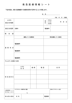 救急医療情報シート (ファイル名：sheet2 サイズ：78.94KB)