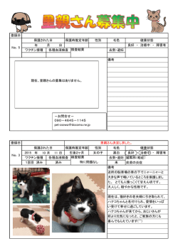 年 月 日 年 10 月 11 日 登録日 保護時推定年齢 保護された日 毛色