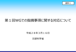 資料1 文部科学省提出資料 （PDF形式：369KB）