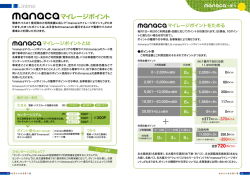 マイレージポイント