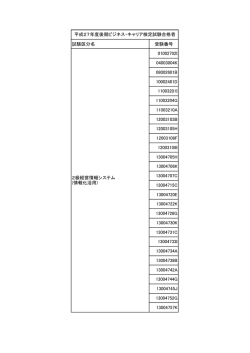 2級経営情報システム（情報化活用）