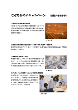 詳しい内容はこちらもご覧ください（PDF）
