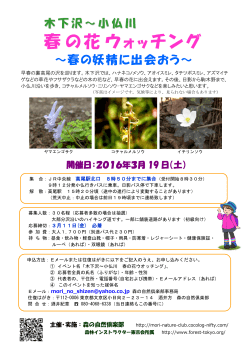 木下沢～小仏川 春の花ウォッチング～春の妖精に出会おう～ （PDF
