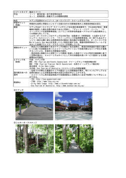 リゾートタイプ 海浜リゾート 手法 1－1 都市計画－歩行者空間の拡充 3