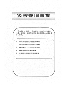 Page 1 平成23年3月11日に起こった東日本大震災。 大雪、低気圧
