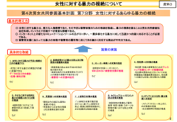 女性に対する暴力の根絶について（辻村議員提出資料）