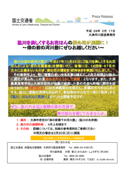 肱川を美しくするお花はん のの菜菜の花が満開に！