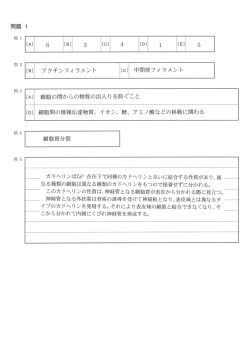 解答PDFダウンロード