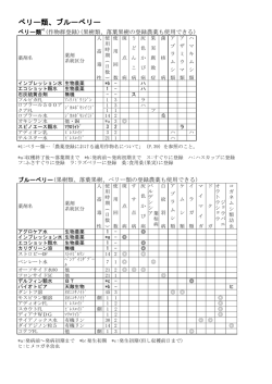 ベリー類、ブルーベリー
