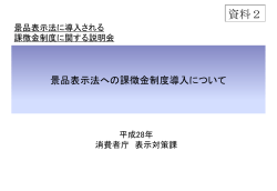 資料2 - 消費者庁