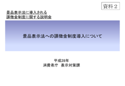 資料2 - 消費者庁