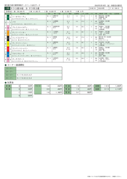 1R サラ3歳9組 9 サラ系3歳 コーナー通過順位 払戻金
